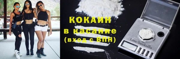прущие грибы Беломорск