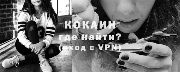 прущие грибы Беломорск